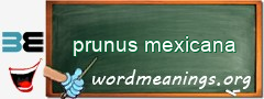 WordMeaning blackboard for prunus mexicana